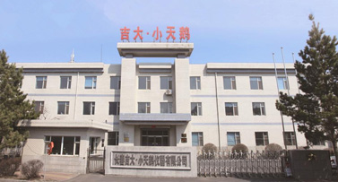 长春吉大&middot;小天鹅：引领食品安全与环境监测技术革新